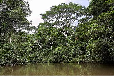 美日服NSO高级会员游戏库更新 添加5款世嘉游戏